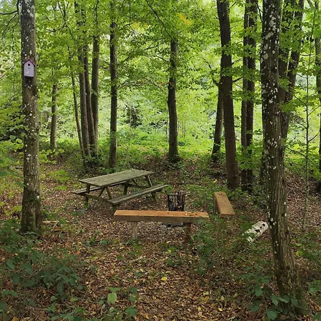 Des Oies, Private * Cerfontaine